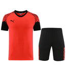 Puma Set Herren Trikot und Shorts
