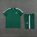 Puma Set Herren Trikot und Shorts
