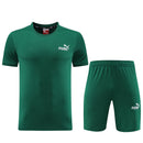 Puma Set Herren Trikot und Shorts
