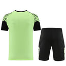 Puma Set Herren Trikot und Shorts