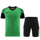 Puma Set Herren Trikot und Shorts
