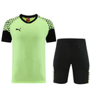 Puma Set Herren Trikot und Shorts