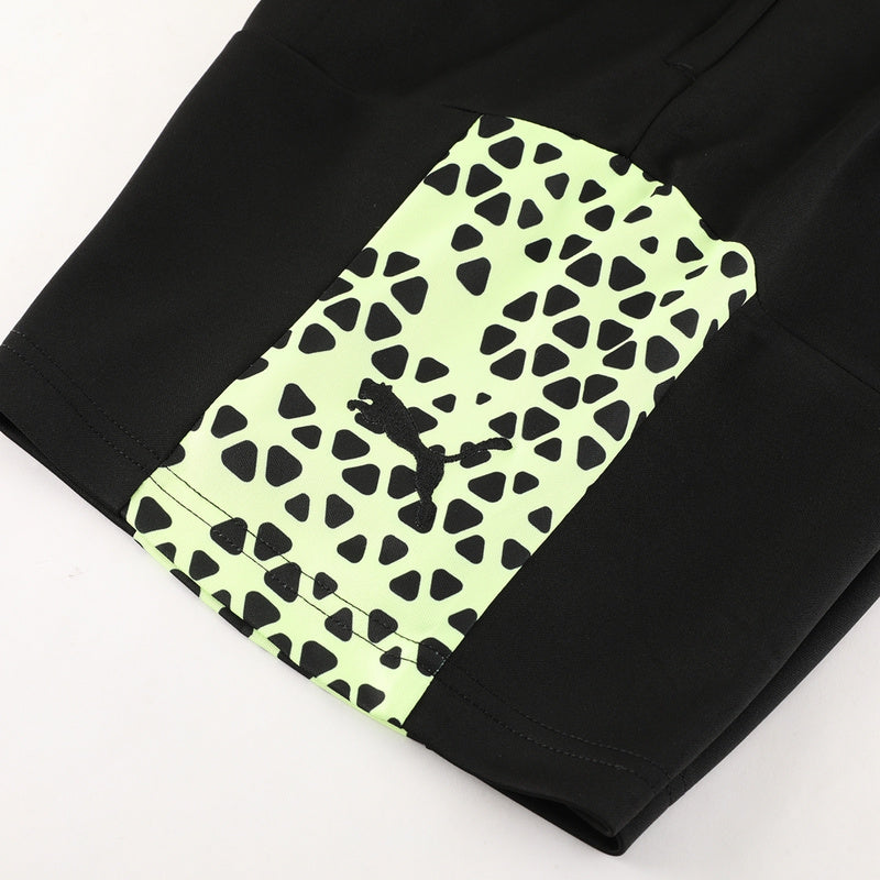 Puma Set Herren Trikot und Shorts