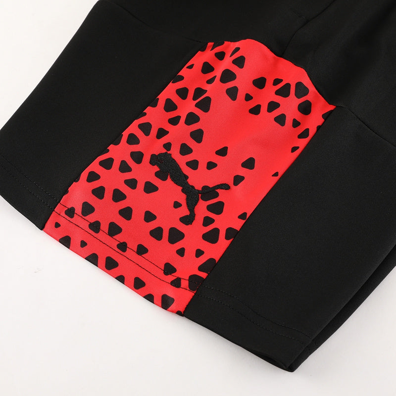 Puma Set Herren Trikot und Shorts