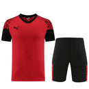 Puma Set Herren Trikot und Shorts