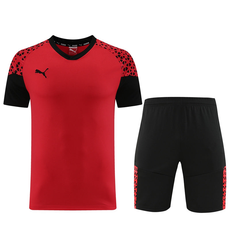 Puma Set Herren Trikot und Shorts
