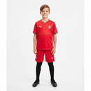 Portugal Kinder-Set 2025 2026 rotes Heimtrikot und Shorts 1.1 Premium Qualität Shop des Spielers Portugal Kids Home Kit CR7, Portugal Kinder-Set 2025, Portugal Trikot rot Kinder, Portugal Shorts junior, Portugal Set 25/26, Fußball Kinderbekleidung rot, 1.1 Qualität Portugal, Cristiano Ronaldo Kindertrikot, Portugal Fanshop Deutschland, Fußball Set Seleção Kids.