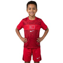 Türkei Kinder-Set 2026 2027 Auswärtstrikot und Shorts rot 1.1 Premium Qualität Shop des Spielers Turkey Kids Away Kit Milli Takımlar Junior TFF, Türkei Kinder-Set, Türkei Trikot rot, Turkey Kids Kit 2026, Milli Takımlar Junior, Türkei Fußballset, Auswärtstrikot Türkei 26/27, 1.1 Qualität Türkei, TFF Fanartikel, Fußballtrikot rot Kinder.