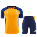 Juventus Trainingsset 24/25 Trikot und Short