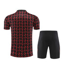 Tottenham Trainingsset 24/25 Trikot und Shorts