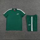 Puma Set Herren Trikot und Shorts - SHOP DES SPIELERS