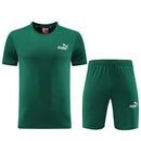 Puma Set Herren Trikot und Shorts - SHOP DES SPIELERS