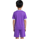 Real Madrid, Kinder-Set, 16/17, Lila, Auswärtstrikot, Real Madrid Fanwear, Retro, Trikot, Shorts, Madridista, Fanartikel, Fußball, Shop des Spielers, Exklusiv