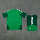 Saudi-Arabien Trainingsset 2026 2027 Herren Trikot und Shorts 1.1 Premium Qualität Shop des Spielers Saudi Arabia Training Kit Green Falcons SAFF Fußballset, Saudi-Arabien Trainingsset, Saudi Trikot 2026, Saudi Arabia Training Kit, Saudi Fußballset, Saudi Shorts, Trainingstrikot Saudi-Arabien, 1.1 Qualität Saudi, SAFF Training, Fußballbekleidung Herren 26/27.