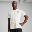Senegal Heimtrikot 25/26 Herren Fan - Version - SHOP DES SPIELERS