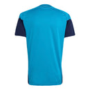 Rückansicht des Spanien Trainingsshirts in Hellblau für Herren.