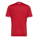 Wales Heimtrikot 2026 2027 Herren rot Fan-Version 1.1 Premium Qualität Shop des Spielers FAW Cymru Jersey, Wales Trikot 2026 rot, FAW Heimtrikot Herren, Wales Home Jersey 26/27, Wales Fußballtrikot kaufen, 1.1 Qualität Wales, Günstiges Wales Trikot Herren, The Red Wall Merch.